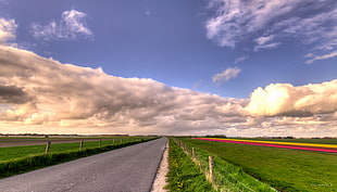 landscape photography of road surrounded by green field HD wallpaper