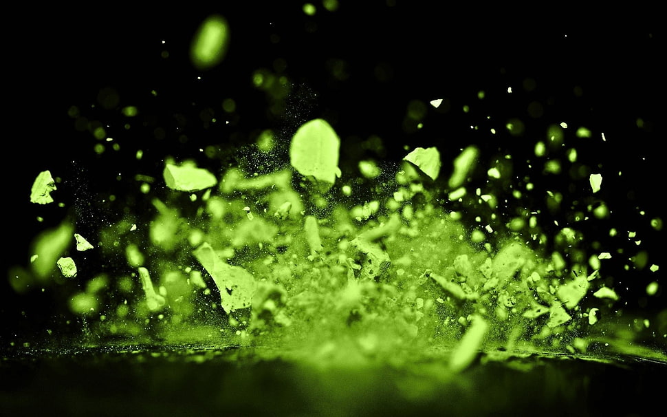 green powder macro shot HD wallpaper