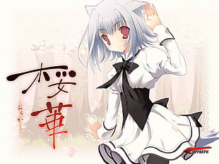 cat girl anime character illustration HD wallpaper