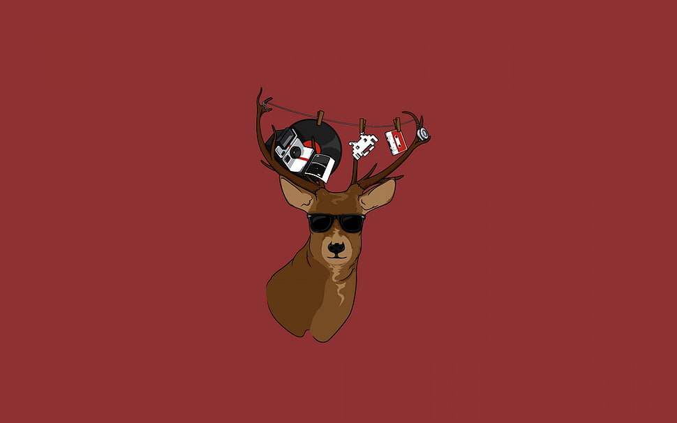 brown Deer wearing sunglasses illustration HD wallpaper