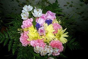 yellow, pink, and white petaled flowers with fern plant