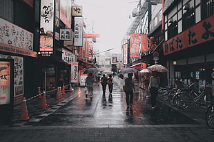 three gray umbrellas, umbrella, Asian, street, Japan