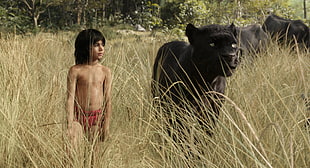 boy standing beside black panther Jungle Book movie scene
