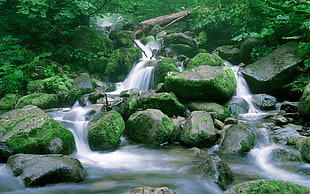 landscape photo of water falls