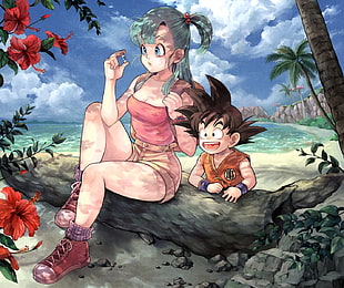 Dragon Ball Z, Bulma, Son Goku HD wallpaper