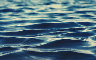 macro shot photography of body of water