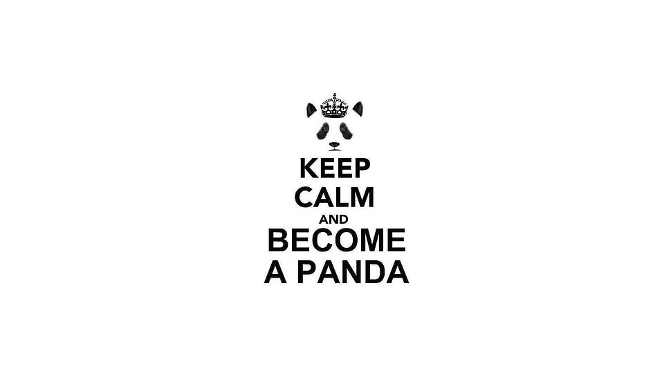 black text on white background, panda, Keep Calm and..., white background, typography HD wallpaper