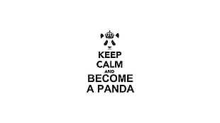 black text on white background, panda, Keep Calm and..., white background, typography HD wallpaper
