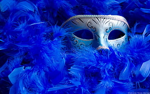 gray masquerade and blue feathers, mask, venetian masks, feathers, blue HD wallpaper