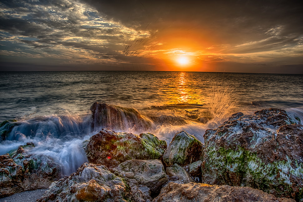 seashore during dusk scenery HD wallpaper