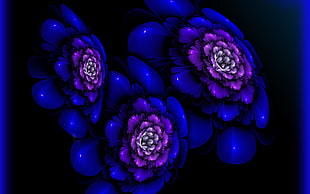 blue and purple flowers HD wallpaper