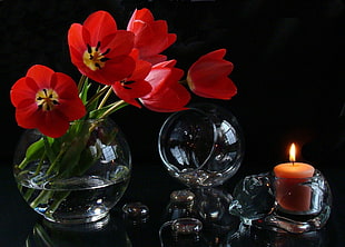 red Tulip flowers beside lighted candle