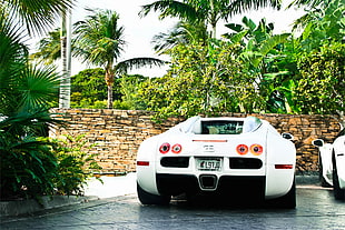 white Bugatti  Veyron HD wallpaper