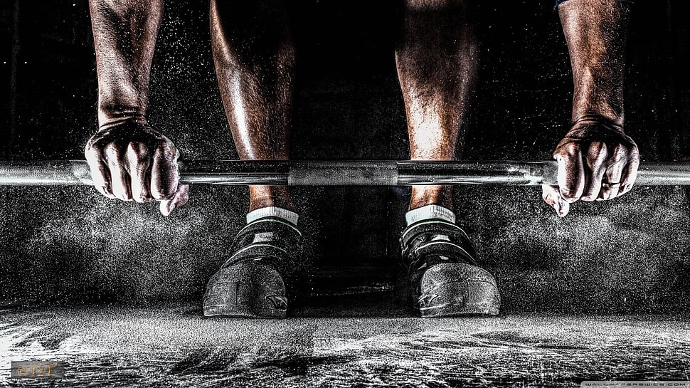 silver barbell, exercising HD wallpaper