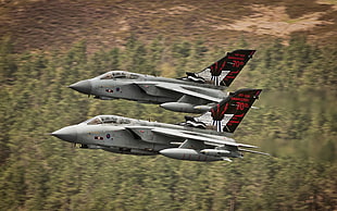 two gray fighter planes, Panavia Tornado, jet fighter, airplane, aircraft