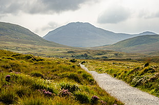 landscape photo of mountain in front of green grass field, connemara national park