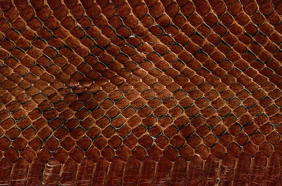 brown skaneskin HD wallpaper