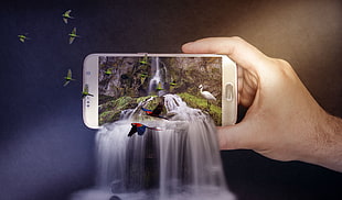 person holding smartphone with waterfall and bird 3D display