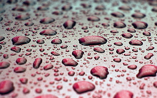 blur photo of red droplets HD wallpaper