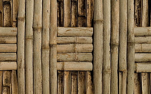 brown bamboo surface HD wallpaper