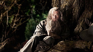 men's gray top, Gandalf, Ian McKellen, wizard, The Hobbit: An Unexpected Journey HD wallpaper
