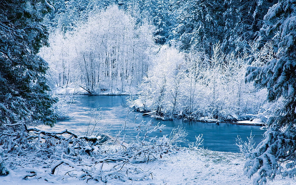 snowy lake photo HD wallpaper