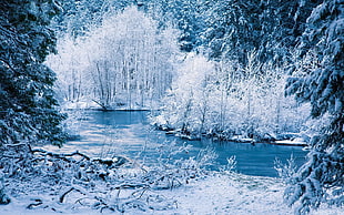 snowy lake photo HD wallpaper