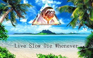 beach with live slow die whenever text overlay, motivational, sloths, humor, artwork