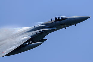 gray fighter plane photo, F-15 Eagle