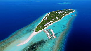 aerial view of island with white sand beach during daytime HD wallpaper