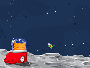 orange cat in outer space illustration HD wallpaper