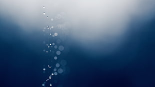 water bubbles illustration HD wallpaper