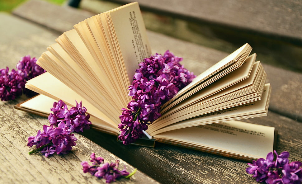 purple flowers on book center page HD wallpaper