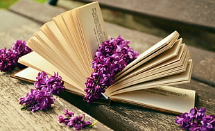 purple flowers on book center page