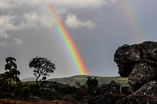 photography of rainbow after rain