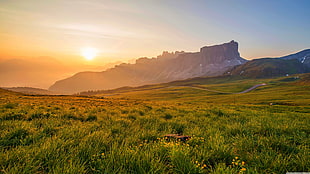 green grass field with mountain on background under clear sky during sunset