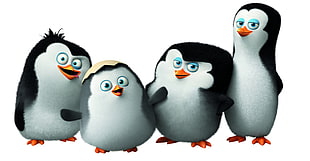 four penguins illustration HD wallpaper