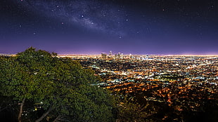 green tree, city, night, Milky Way HD wallpaper