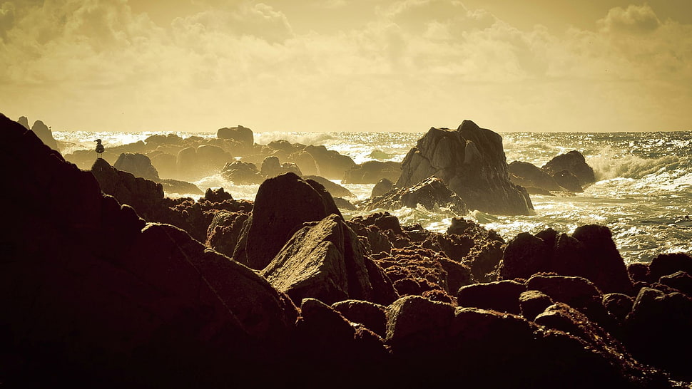 seashore, photography, nature, sea, waves HD wallpaper