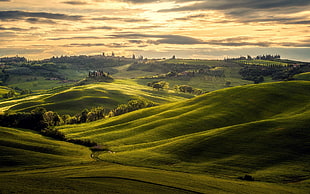 green grass field, nature, landscape, Tuscany, Italy HD wallpaper