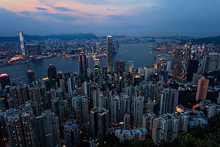 aerial photo of a city buildings, Hong Kong, city, lights