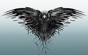 Faded Crow artwork HD wallpaper