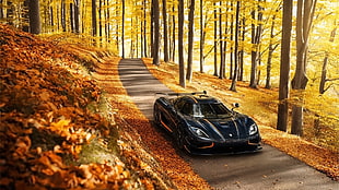 black sports car on winding road surrounded by brown foliage trees