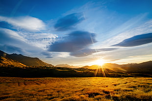 golden hour photo of land during daytime HD wallpaper