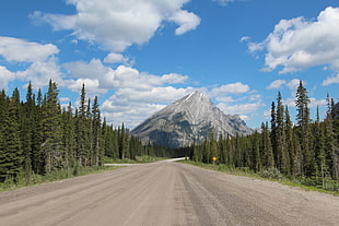 gray road in the middle of woods at daytime, spray lakes HD wallpaper