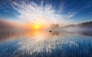 body of water with sun reflection, nature, landscape, sunlight, morning