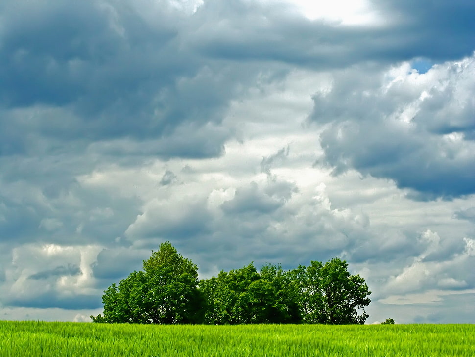 white and blue clouds HD wallpaper