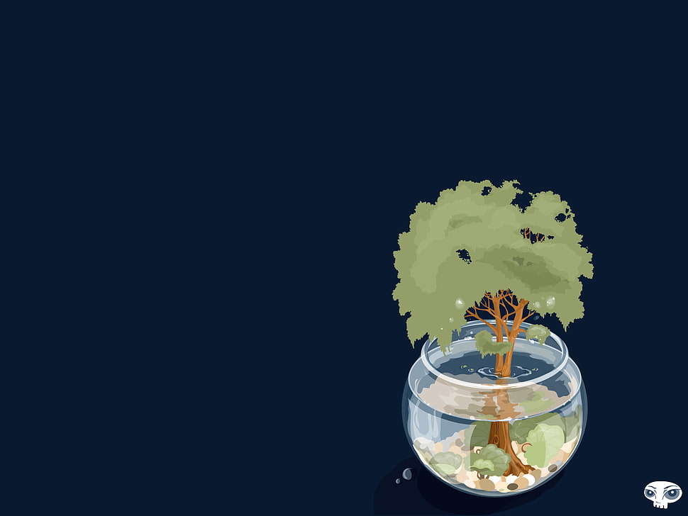 clear glass bowl and green plant illustration, minimalism HD wallpaper