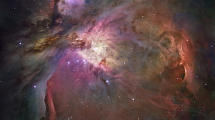multicolored wallpaper, space, Great Orion Nebula