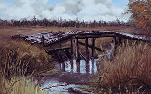 broken wooden bridge beside trees during daytime HD wallpaper